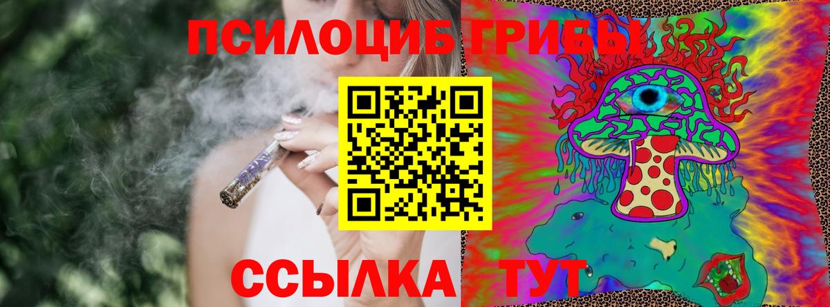 Галлюциногенные грибы Cubensis Шебекино